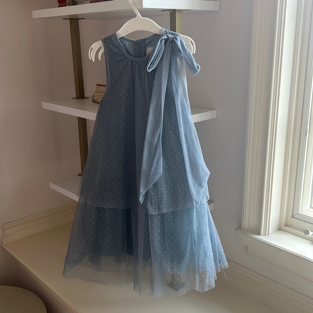 Light blue/grey tulle dress with gold dots